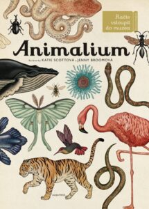 Animalium - kolektiv - 28x37 cm