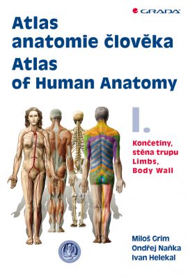 Atlas anatomie člověka I. - kolektiv autorů - 21x29