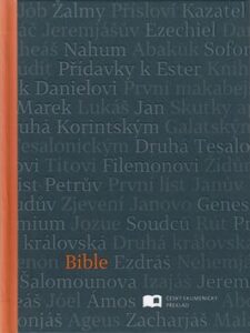 Bible - 13x16 cm