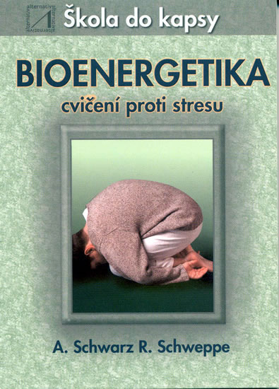 Bioenergetika - cvičení proti stresu - Škola do kapsy - kolektiv - 10