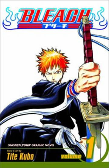 Bleach 1: The Death and the Strawberry - Kubo Tite - 11