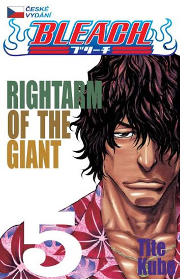 Bleach 5: Right Arm of the Giant - Kubo Tite - 11