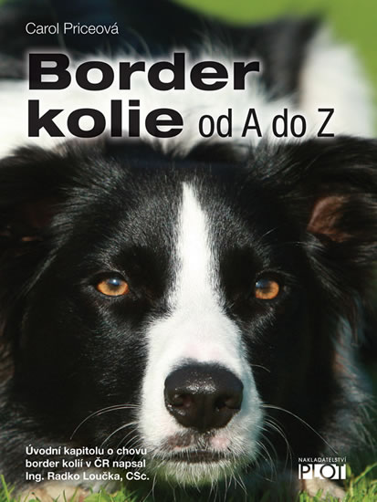 Border kolie - Carol Price - 22x29