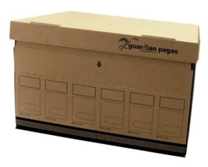 CAESAR OFFICE Archivační krabice úložná Guardian Pegas 470 × 310 × 320 mm