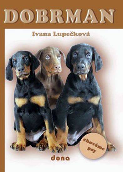 Dobrman - chováme psy - Lupečková Ivana