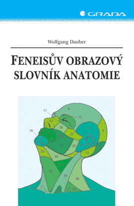 Feneisův obrazový slovník anatomie - Dauber Wolfgang