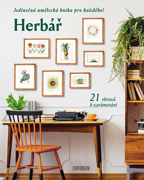Herbář: Jedinečná umělecká kniha pro každého! 21 obrazů k zarámování - kolektiv autorů