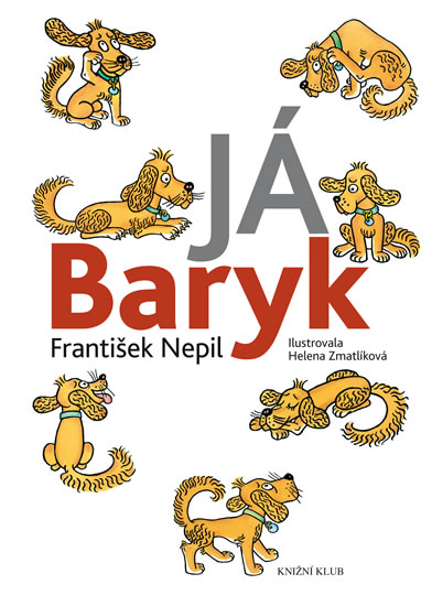 Já Baryk - Nepil František - 18x25