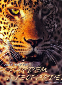 Jaké je to být Gepardem a Leopardem - Denis-Huot CHristine