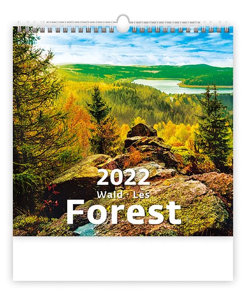 Kalendář nástěnný 2022 - Forest/Wald/Les - 34x32