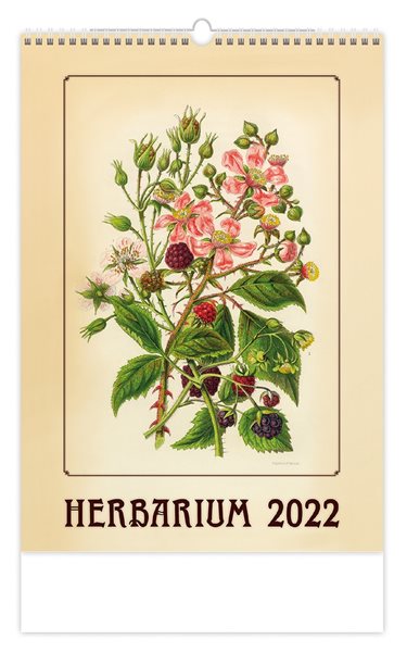 Kalendář nástěnný 2022 - Herbarium - 31