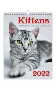 Kalendář nástěnný 2022 - Kittens/Katzenbabys/Koťátka/Mačičky - 24x33 cm