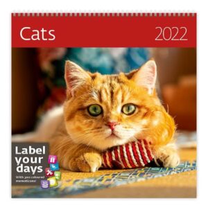 Kalendář nástěnný 2022 Label your days - Cats - 30x30 cm