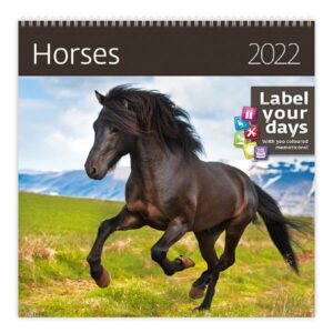 Kalendář nástěnný 2022 Label your days - Horses - 30x30 cm