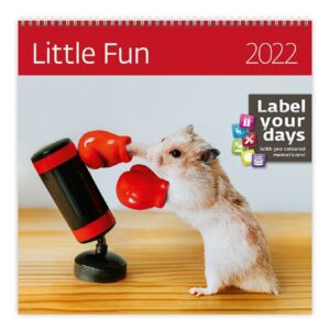 Kalendář nástěnný 2022 Label your days - Little Fun - 30x30 cm
