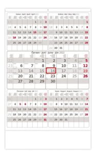 Kalendář nástěnný 2022 - Pětiměsíční šedý