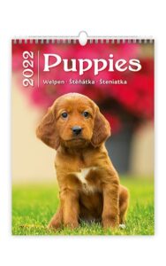 Kalendář nástěnný 2022 - Puppies/Welpen/Štěňátka/Šteniatka - 24x33 cm
