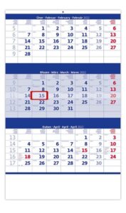 Kalendář nástěnný 2022 - Tříměsíční modrý - 31
