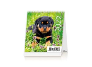 Kalendář stolní 2022 - Mini Puppies - 9