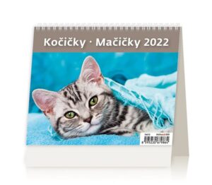 Kalendář stolní 2022 - MiniMax Kočičky/Mačičky - 17