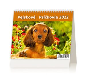 Kalendář stolní 2022 - MiniMax Pejskové/Psíčkovia - 17