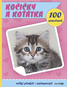 Kočičky a koťátka - Plakát a 100 samolepek - neuveden