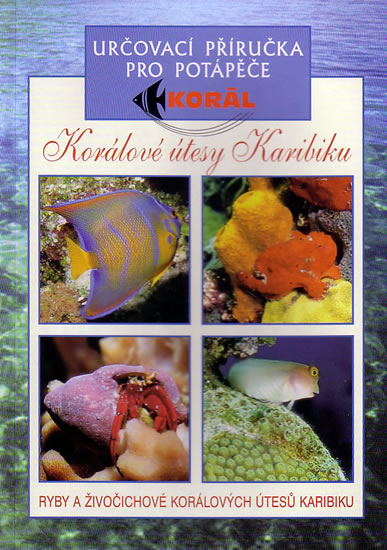 Korálové útesy v karibiku - Určovací příručka pro potapěče - Ryby a živočichové korálových útesů Kar - neuveden