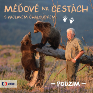 Méďové na cestách PODZIM - Václav Chaloupek - 15x15 cm