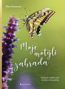 Moje motýlí zahrada - Nejlepší rostliny pro motýly a housenky - Schwarzer Elke