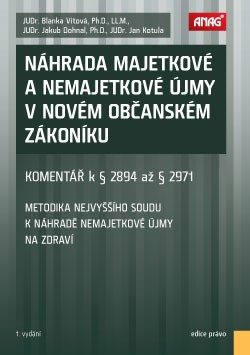 Náhrada majetkové a nemajetkové újmy v novém občanském zákoníku - Blanka Vítová
