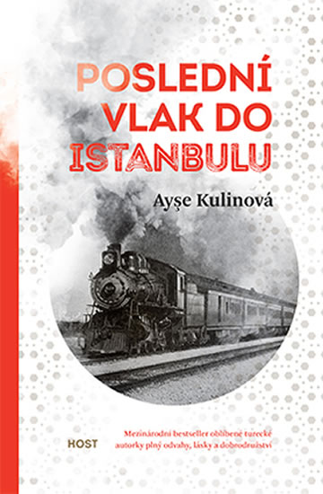 Poslední vlak do Istanbulu - Kulinová Ayse