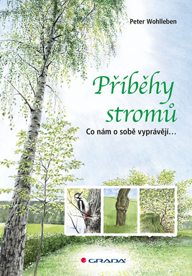 Příběhy stromů - Co nám o sobě vyprávějí... - Wohlleben Peter