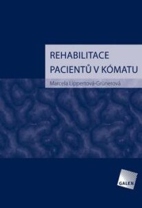 Rehabilitace pacientů v kómatu - Marcela Lippertová-Grünerová - 16x23