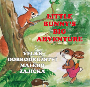 Velké dobrodružství malého zajíčka / Little Bunny´s Big Adventure - Šnajderová Ludmila