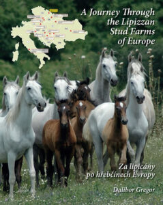 Za lipicány po hřebčínech Evropy / A Journey Through the Lipizzan Stud Farms of Europe - Gregor Dalibor