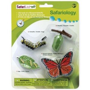 Životní cyklus - Motýl - blistr - Safari Ltd.