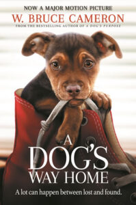 A Dog´s Way Home : The Heartwarming Story of the Special Bond Between Man and Dog - Cameron W. Bruce