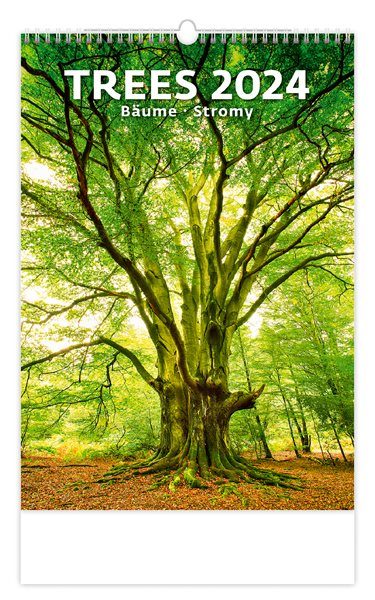 Kalendář nástěnný 2024 - Trees/Bäume/Stromy - 31